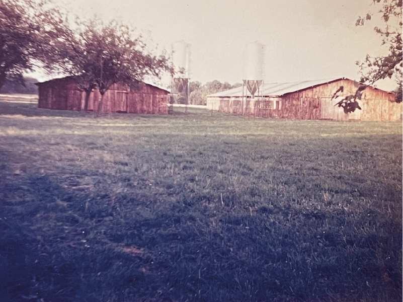 Ancien poulailler familial de L’Œuf du Vieux Pressoir dans les années 1980, dans l'Eure
